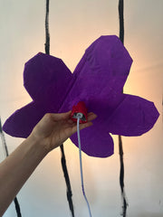 Red Medium Simple Flower Aronomink Lamp