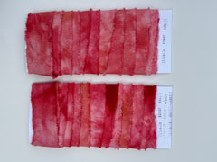 ALR Cochineal and Lemon Ribbon