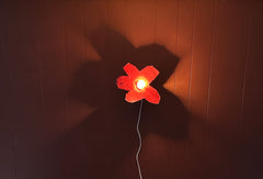Aronomink Lamp