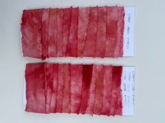 ALR Cochineal and Lemon Ribbon