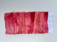 ALR Cochineal and Lemon Ribbon