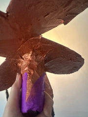 Black Small Simple Flower Aronomink Lamp