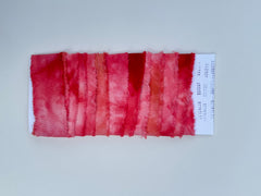 ALR Cochineal and Lemon Ribbon