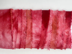 ALR Cochineal and Lemon Ribbon