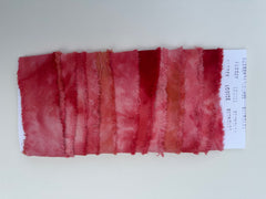 ALR Cochineal and Lemon Ribbon
