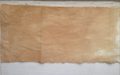 organic fabric dyed with ecru